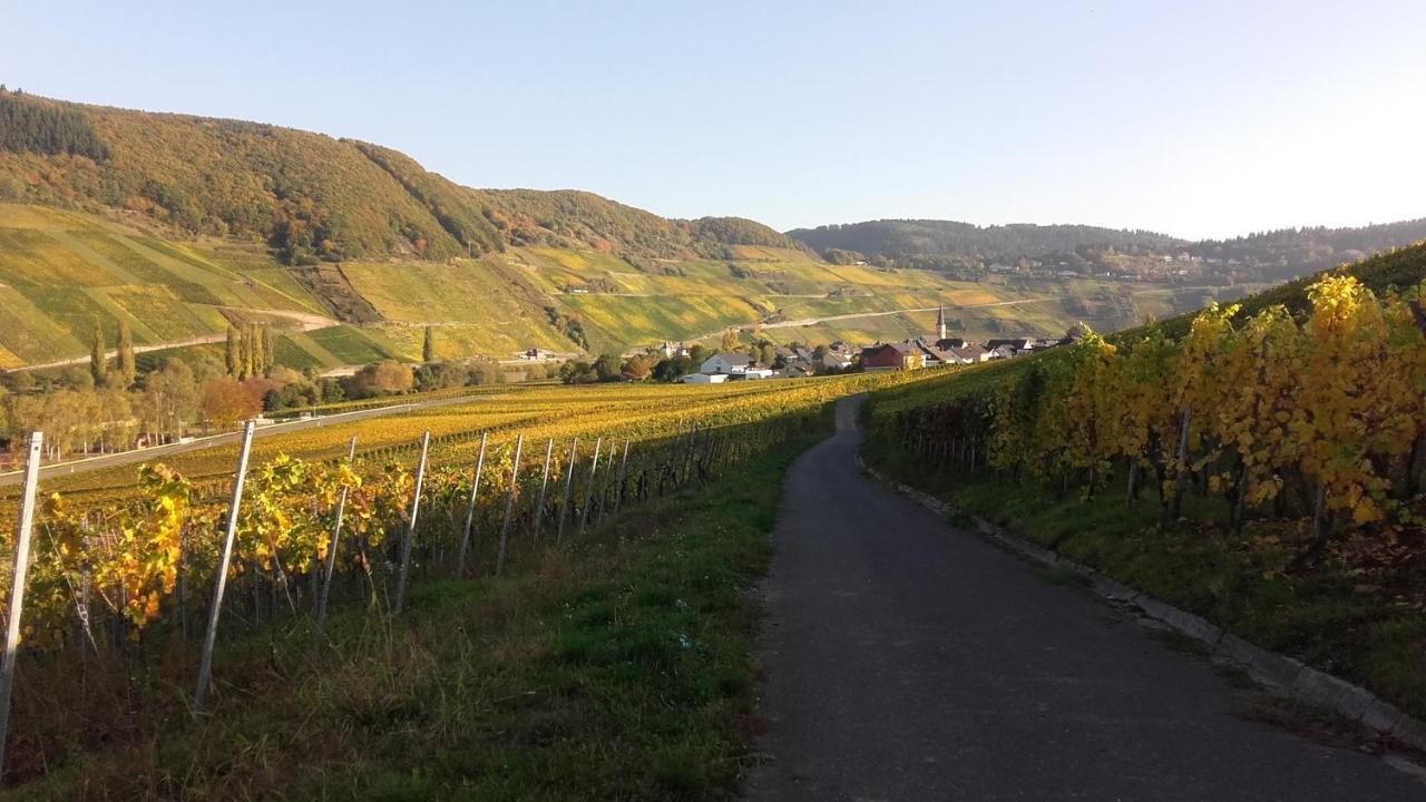 Gaestehaus Moselblick Trittenheim Exteriér fotografie